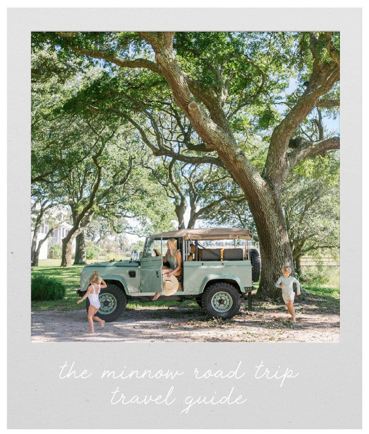 the minnow road trip, travel guide