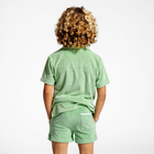 boys palm green french terry short