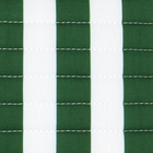 charleston green cabana stripe travel pouch